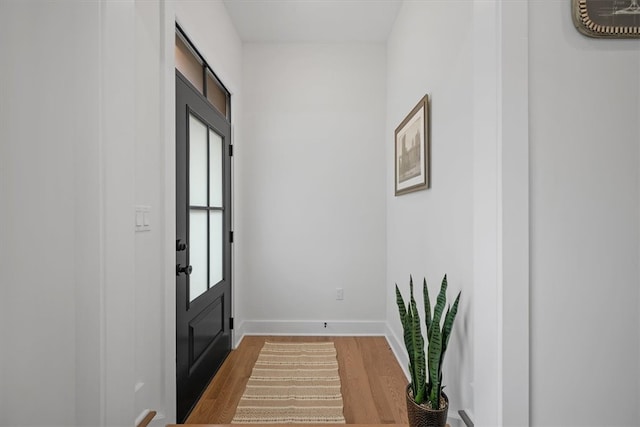 entrance foyer featuring wood-type flooring