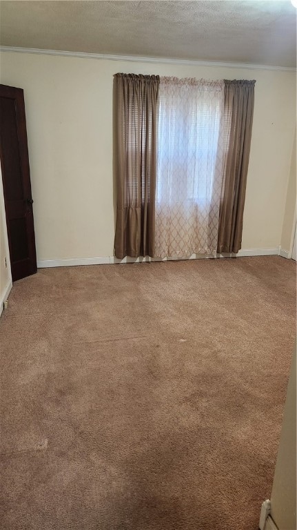 spare room with carpet floors, a textured ceiling, and crown molding