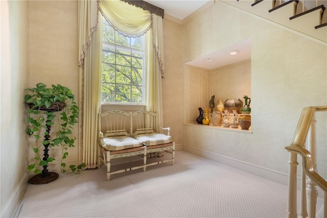 living area featuring carpet floors