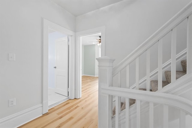 corridor with hardwood / wood-style flooring