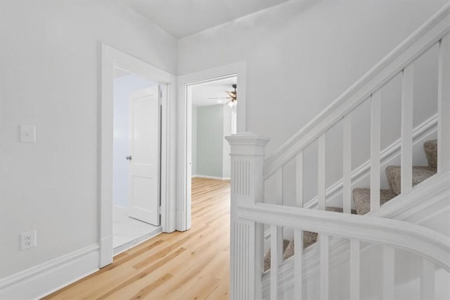 hall featuring hardwood / wood-style floors