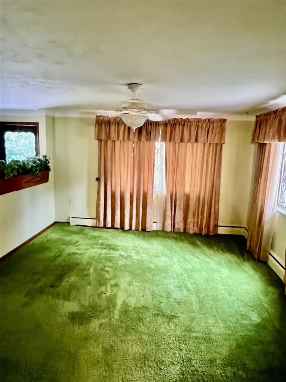 spare room with carpet