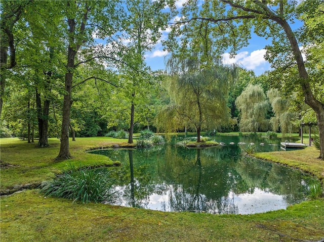 property view of water with a view of trees