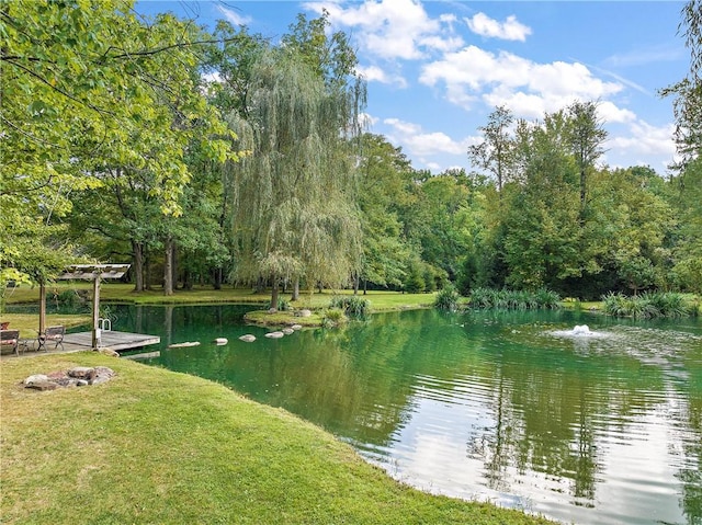 property view of water with a forest view