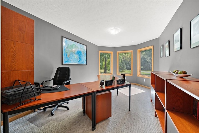 office with light colored carpet, baseboards, and a textured ceiling