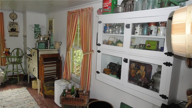 sitting room with dark wood-type flooring