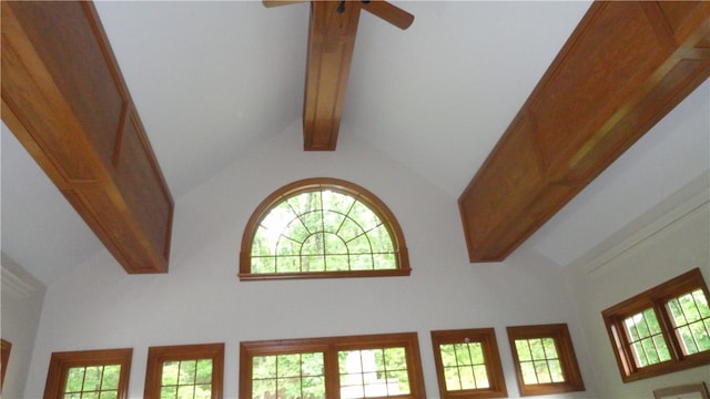 details featuring beam ceiling and ceiling fan