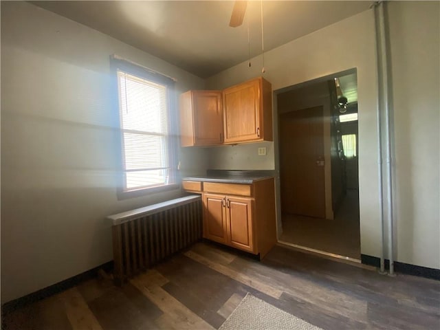 kitchen featuring ceiling fan, dark hardwood / wood-style flooring, and radiator