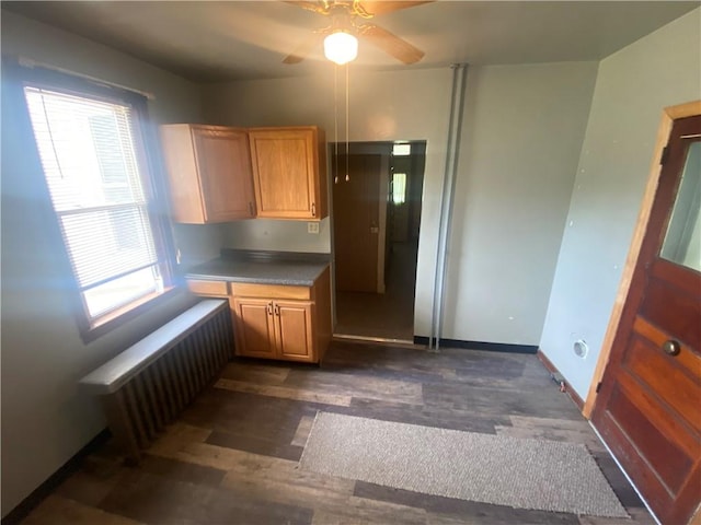 kitchen featuring ceiling fan and radiator heating unit