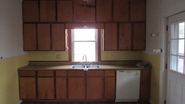 kitchen featuring sink, dishwasher, and a wealth of natural light