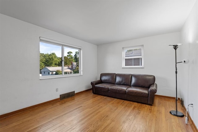 living room featuring light hardwood / wood-style flooring and a healthy amount of sunlight