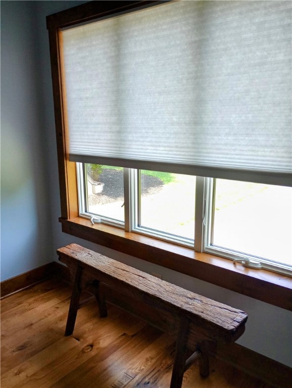 interior space featuring hardwood / wood-style flooring