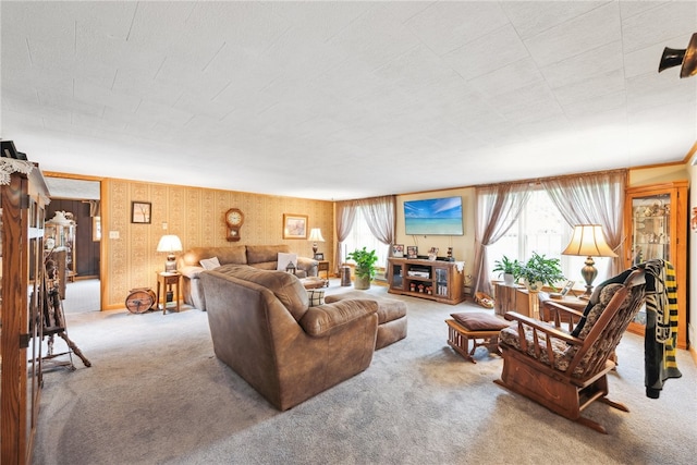 living room featuring carpet flooring