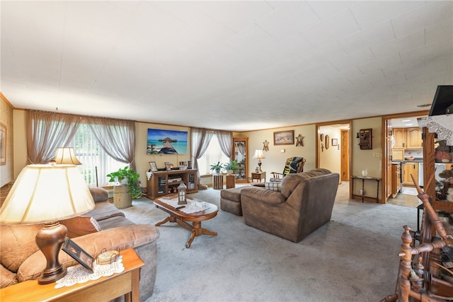 view of carpeted living room