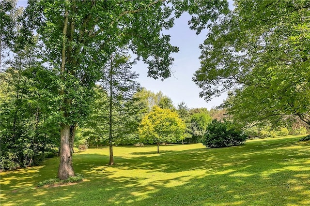 view of home's community featuring a lawn