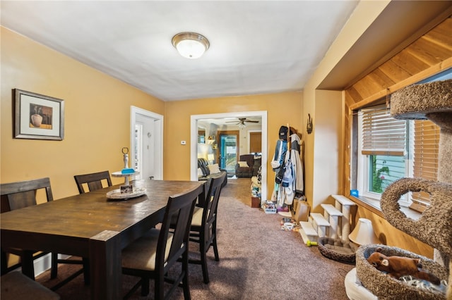 dining room with ceiling fan and carpet flooring