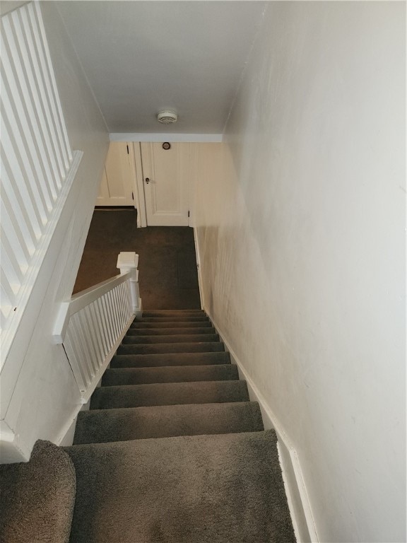 staircase featuring carpet flooring