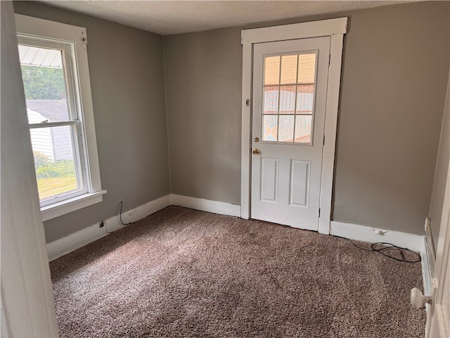 spare room with carpet, a textured ceiling, and a healthy amount of sunlight