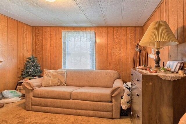 living room featuring wood walls