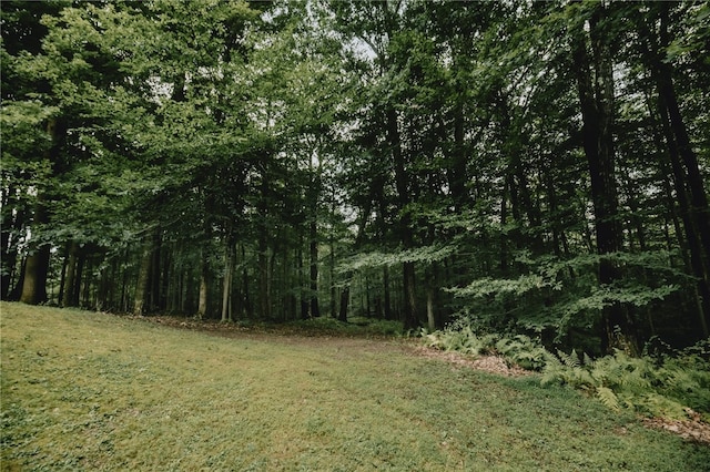 view of landscape