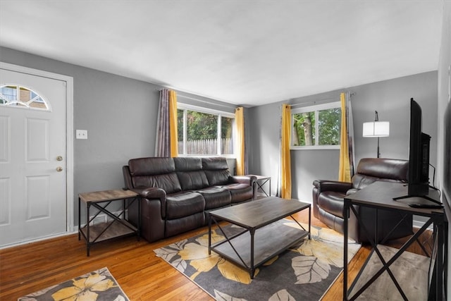 living room featuring a wealth of natural light and light wood-type flooring