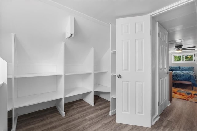 interior space featuring ceiling fan and wood-type flooring