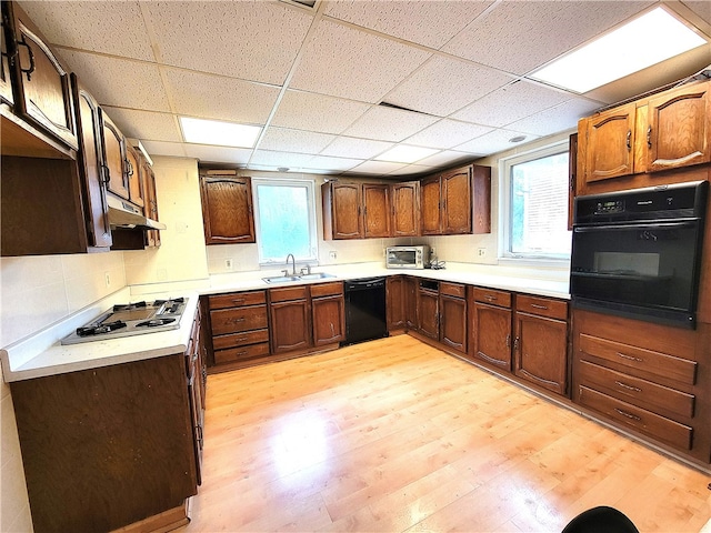 kitchen with sink, light wood-type flooring, black appliances, and a paneled ceiling