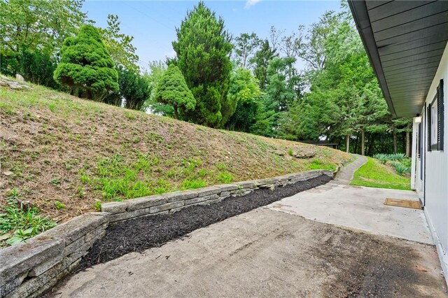 view of yard featuring a patio area