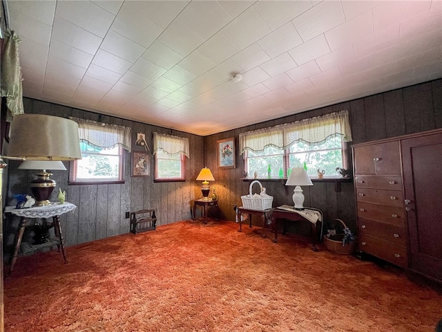 interior space with carpet flooring and wood walls