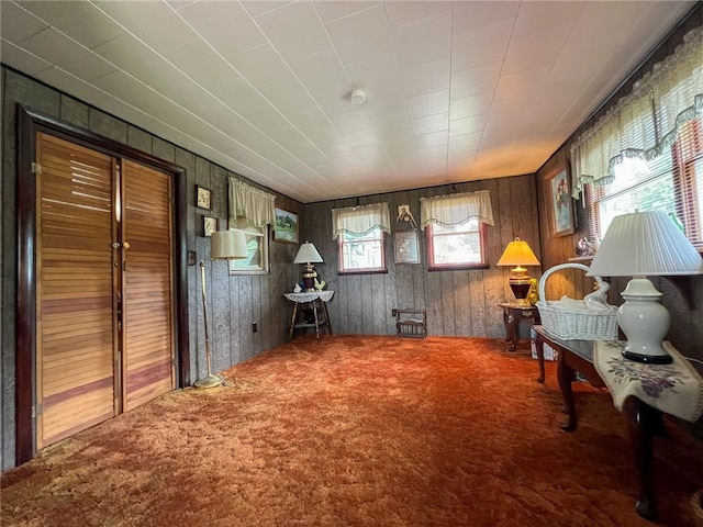 interior space featuring wood walls and carpet