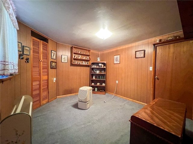 living area featuring wooden walls and carpet floors