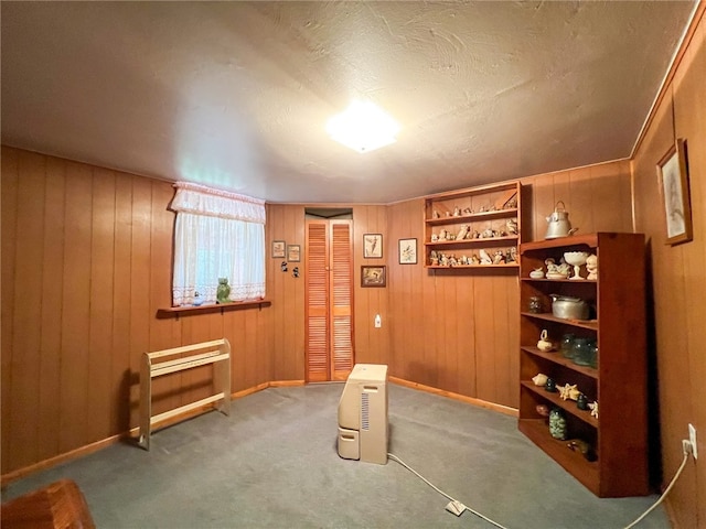 sitting room with carpet floors and wooden walls