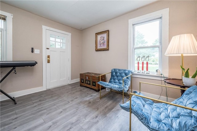 entrance foyer featuring baseboards and wood finished floors