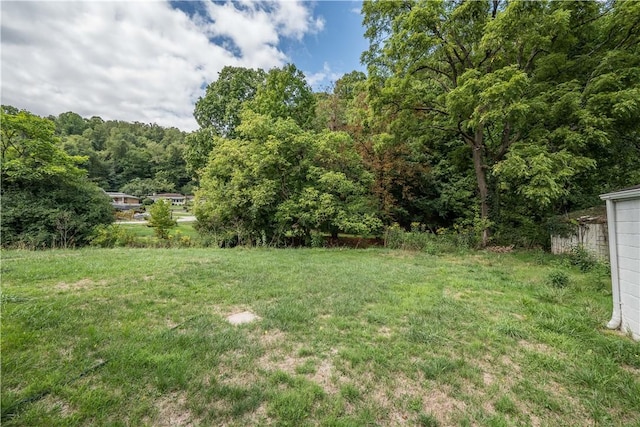 view of yard with a wooded view