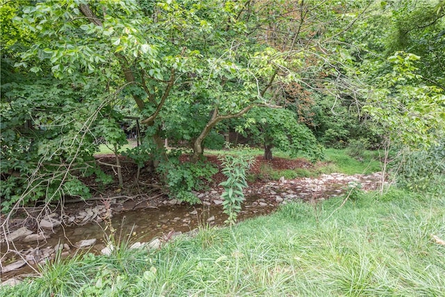 view of landscape with a water view