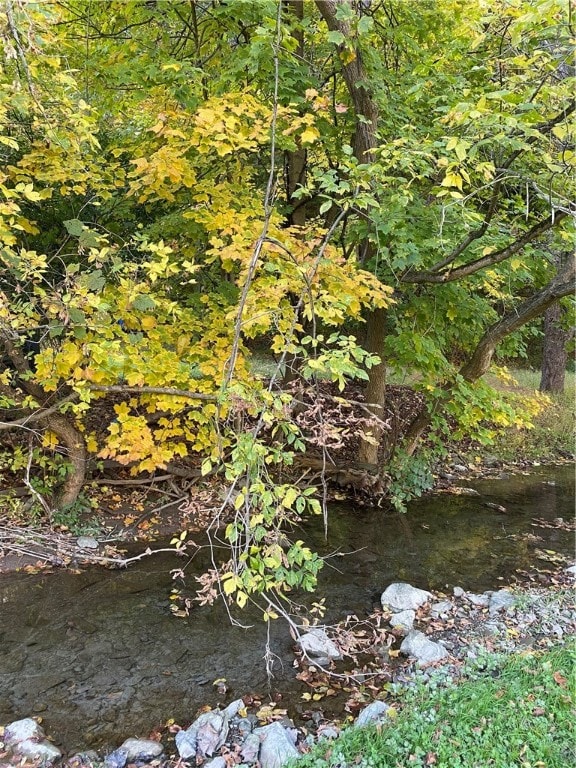 view of local wilderness with a water view