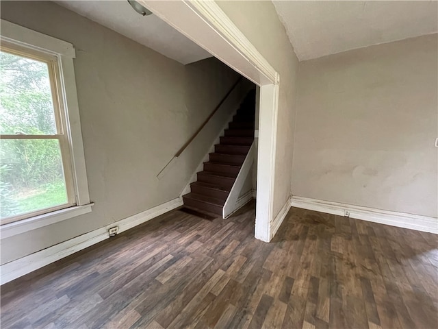 staircase with hardwood / wood-style flooring