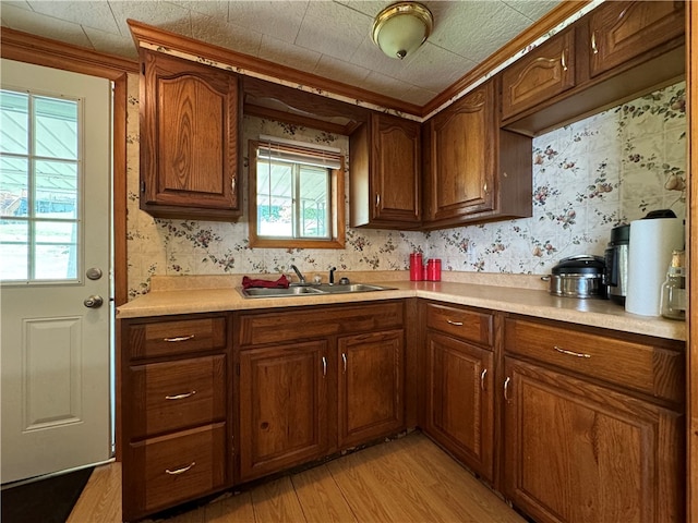 kitchen featuring sink and light wood-type flooring