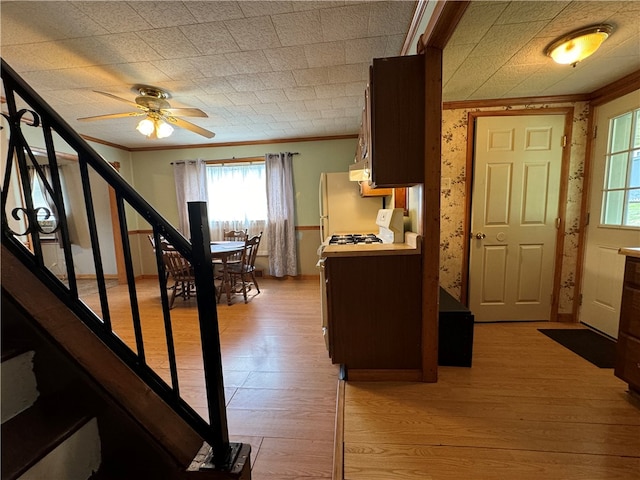 interior space featuring ceiling fan, ornamental molding, and wood-type flooring