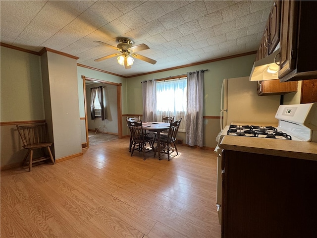 kitchen featuring ceiling fan, light wood-type flooring, white gas range oven, crown molding, and dark brown cabinets