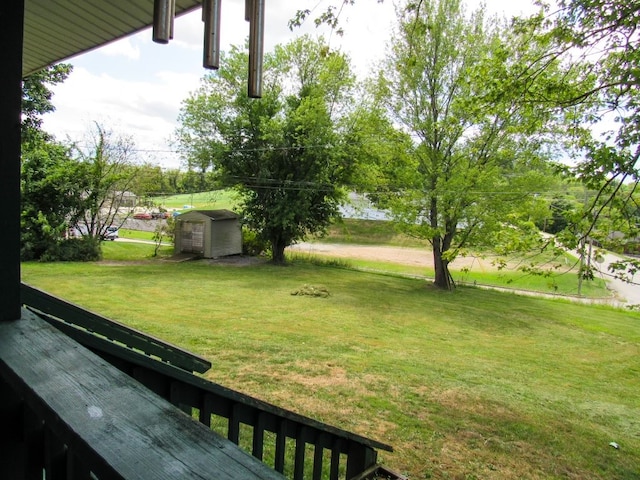 view of yard featuring a storage shed