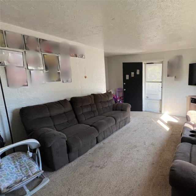 carpeted living room with a textured ceiling