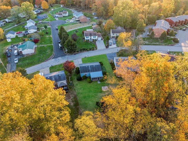 bird's eye view