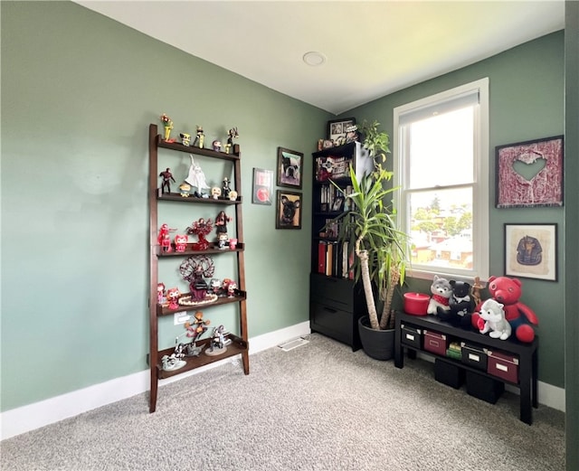 miscellaneous room featuring carpet