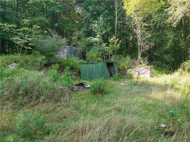 view of yard with an outdoor structure, a forest view, and a storage unit