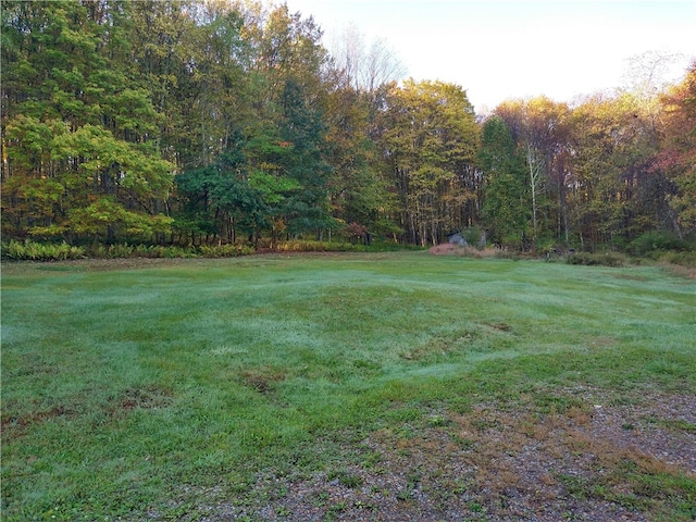 view of yard with a view of trees