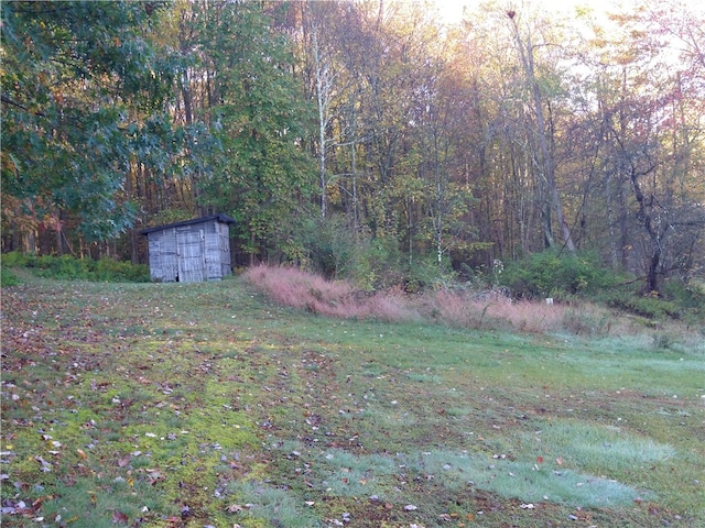 view of yard with an outbuilding, a forest view, and a storage unit