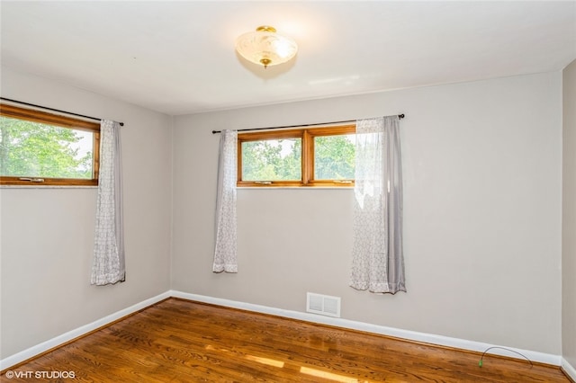 spare room featuring a wealth of natural light and wood-type flooring