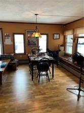 dining area with a wealth of natural light and hardwood / wood-style flooring