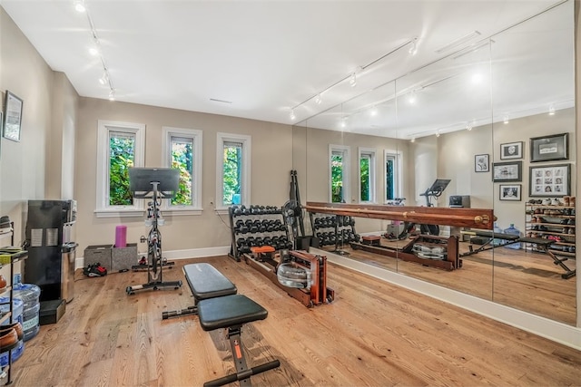 workout area featuring rail lighting and light hardwood / wood-style flooring